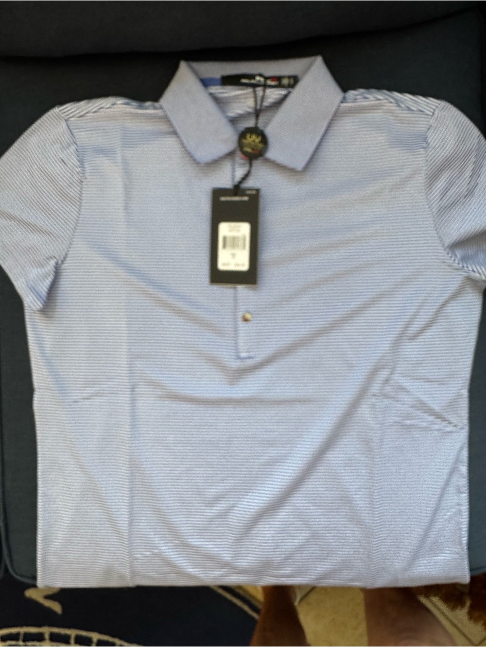 Polo by Ralph Lauren Light Blue Micro-Stripe Polo